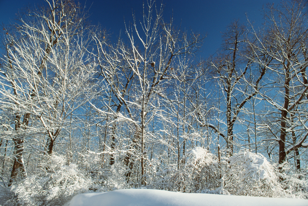 FRENCH EXPRESSIONS RELATED TO COLD PART 1